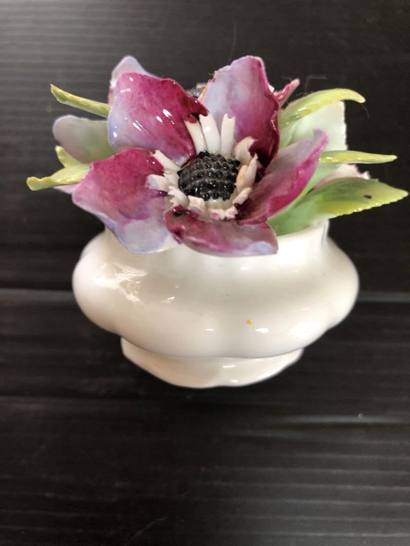 Amazon.co.jp: ロイヤルアルバート マンスリーシリーズ陶花アネモネ